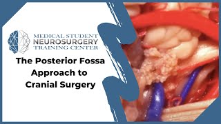 Surgery to Correct Craniosynostosis Tucks Story [upl. by Saffian928]