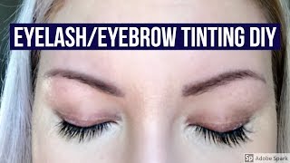 HOW TO TINT YOURE OWN LASHES amp BROWS DIY RefectoCil Review [upl. by Desdamonna]