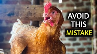 AVOID This Big MISTAKE When Building a Chicken House [upl. by Gaudette823]