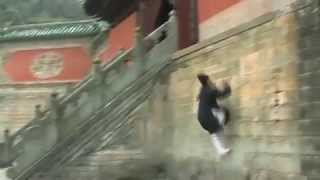 Wudang Qing Gong  Lightness Skills 武当轻功 [upl. by Ddarb183]