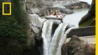 After Largest Dam Removal in US History This River Is Thriving  National Geographic [upl. by Nohsav]