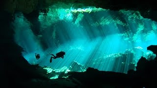 Diving the Mexico Yucatan Cenotes  Highlights HD [upl. by Ahseia787]