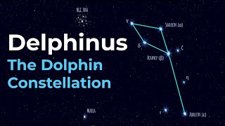 How to Find Delphinus the Dolphin Constellation [upl. by Zsa]