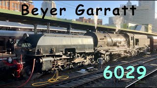 Australian Steam Trains Beyer Garratt 6029  In Review [upl. by Llertram323]