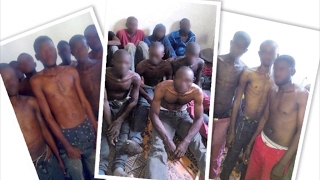 Migrants being sold as slaves in Libya IOM reports [upl. by Innes651]