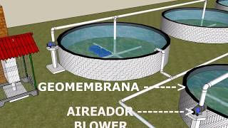 UNIDAD INTENSIVA PARA PISCICULTURA CON ESTANQUES DE GEOMEMBRANA DE 800 MICRAS [upl. by Ericka]