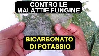 BICARBONATO DI POTASSIO ANTIFUNGINO [upl. by Ahc]