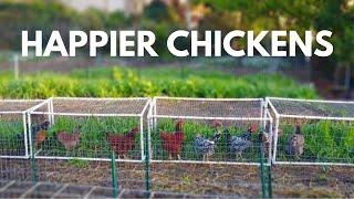 The Beginners Guide to Small Scale Backyard Pastured Poultry [upl. by Reiter]