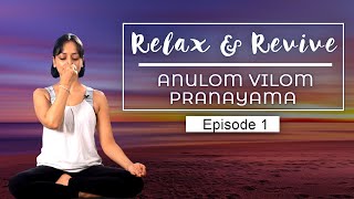 Simple Ways To MEDITATE At HOME  Anulom  Vilom Pranayam Breathing Exercise  Relax amp Revive E01 [upl. by Imeon]