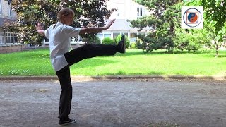 Tai Chi Chuan forme Yang classique 23  lHomme [upl. by Junie952]