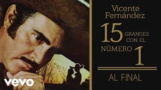 Vicente Fernández  Al Final Tema Remasterizado Cover Audio [upl. by Aleekat]