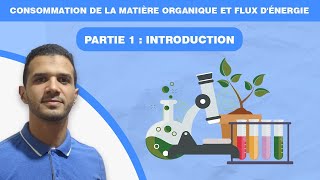 consommation de la matière organique et flux dénergie  partie 1 [upl. by Yaeger48]