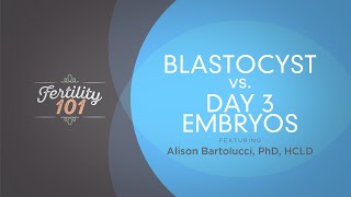 Blastocyst Vs Day 3 Embryos [upl. by Hokanson]