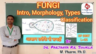 Morphology amp Classification of Fungi  Fungi Introduction Types amp Examples  BP 303T  L22 [upl. by Ellessig442]