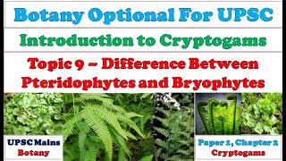 Difference between Pteridophytes and Bryophytes Pteridophytes VS Bryophytes Dissimilarities [upl. by Simonette]