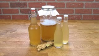 Water Kefir Ginger Tonic [upl. by Hael]