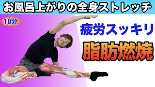 【全身ストレッチ】で脂肪燃焼 お風呂上がり10分ナイトルーティン【激やせダイエット】 [upl. by Berlinda95]