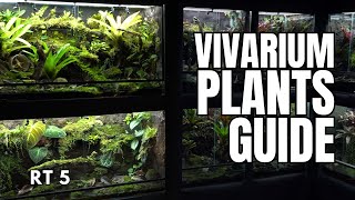 Best Vivarium Plants for Reptiles and Amphibians [upl. by Medlin455]