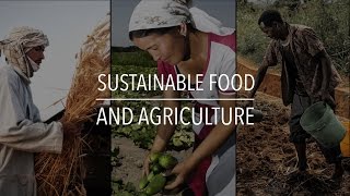 FAO Policy Series Sustainable Food and Agriculture [upl. by Rugg]