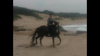 My Near Death Experience Horse Riding Galloping 1 [upl. by Faith]