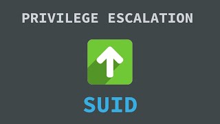 Common Linux Privilege Escalation Exploiting SUID [upl. by Ennael]