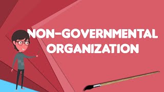 What is Nongovernmental organization Explain Nongovernmental organization [upl. by Esyle]