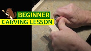 Beginner Woodcarving  Basic Cuts [upl. by Gigi]