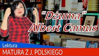 100 quotDżumaquot Alberta Camusa  omówienie lektury na szczycie Bramy Krakowskiej [upl. by Onileba]