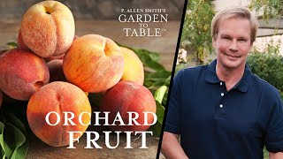 Planting Fruit Trees amp Orchards  Garden to Table 104 [upl. by Nevin]