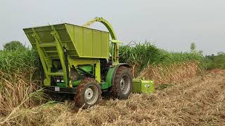 Napier Grass Harvester [upl. by Yrotciv362]