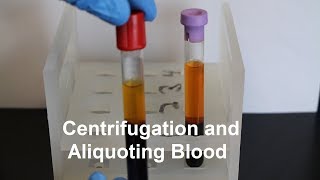 Centrifugation and Aliquoting of Blood Serum and Plasma [upl. by Annasor]