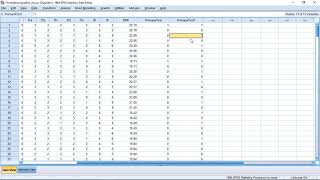 SPSS  Identifying Duplicates [upl. by Hagen586]