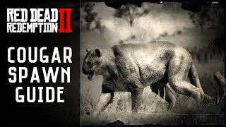 RDR2  Cougar Location  Master Hunter 6 Red Dead Redemption 2 [upl. by Rhines189]