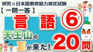 【一問一答・言語⑥】日本語教育能力検定試験まとめ [upl. by Naitsabas723]