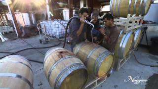 Vine to Wine Winemaking at Naggiar Vineyards [upl. by Upton]