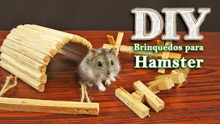 DIY Brinquedos para hamsters roerem [upl. by Eillit]