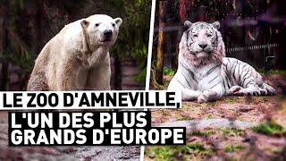 LE ZOO DAMNEVILLE LUN DES PLUS GRANDS DEUROPE [upl. by Nossaj]