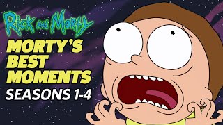 RICK AND MORTY The Mortyest Moments EVER Seasons 14 [upl. by Modnar]