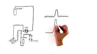 An Introduction to Ion Chromatography [upl. by Drof]