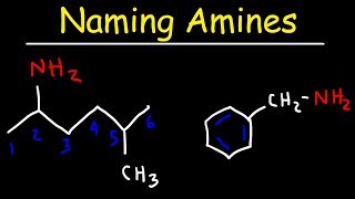 Naming Amines  IUPAC Nomenclature amp Common Names [upl. by Nosae]