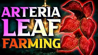 Elden Ring Arteria Leaf Farming Location [upl. by Nahc]