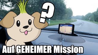 OnionDog auf GEHEIMER Mission [upl. by Oad]