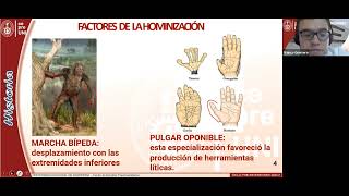 Hominizacion y prehistoria [upl. by Gerik700]