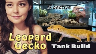 Leopard Gecko Tank Setup  Bioactive Terrarium [upl. by Dorsy]