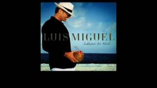 Luis Miguel  Labios de Miel Sencillo Oficial con Letra [upl. by Anadroj]