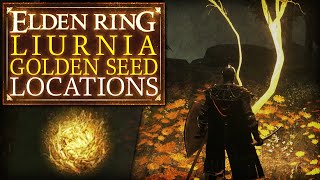 Elden Ring  Liurnia Golden Seed Locations [upl. by Nuoras]