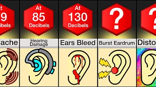 Comparison How Much Sound To [upl. by Thorma]