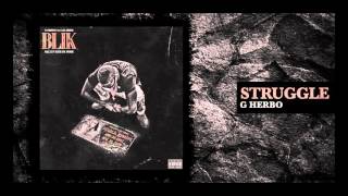 G Herbo  Struggle Official Audio [upl. by Ramos20]