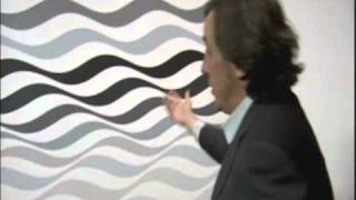 Andrew GrahamDixon on Bridget Riley [upl. by Remde454]