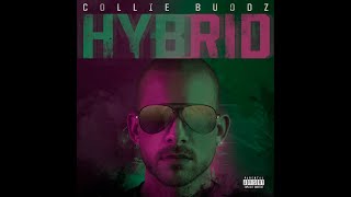 Collie Buddz  Everything Blessed feat Tech N9ne [upl. by Ahsak]